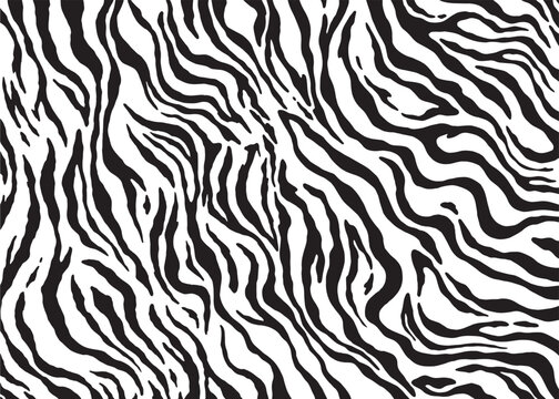 Zebra skin HD wallpapers  Pxfuel