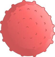 Lychee Pink Fruit Tropical Fresh Summer Isolated