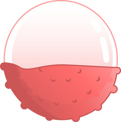 Peeled Lychee Pink Fruit Tropical Fresh Juicy Summer Isolated