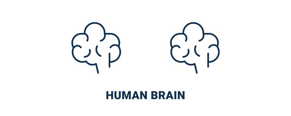 human brain icon. Outline and filled human brain icon from education and science collection. Line and glyph vector isolated on white background. Editable human brain symbol.