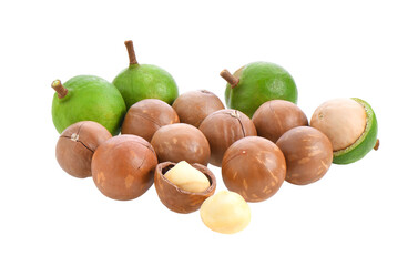 macadamia nuts isolated on transparent png