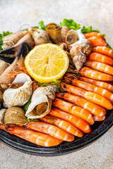 seafood platter Fruits de mer shrimp, crab claw, clam, rapan, trumpeter mollusk  meal food snack on the table copy space food background rustic top view