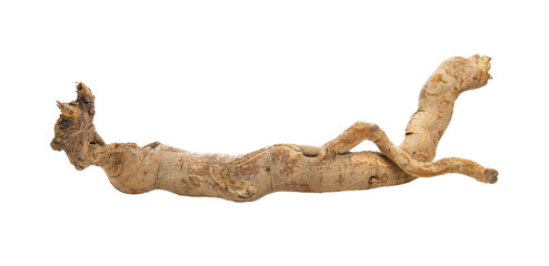 eurycoma longifolia on transparent png