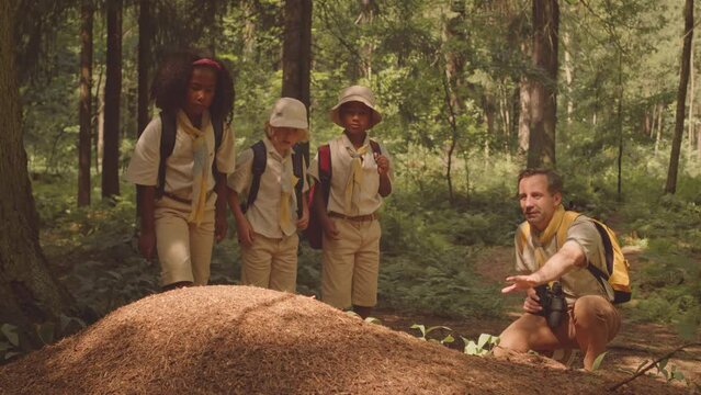 Slowmo of multiethnic young scouts and their adult leader exploring forest flora and fauna while trekking together in summertime