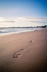 footprints on the beach