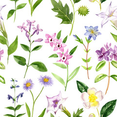 watercolor drawing seamless pattern with green plants and flowers at white background, hand drawn illustration, natural backdrop