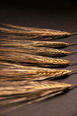 Closeup image of a ears of wheat arranged on black background