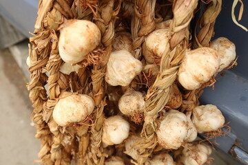 Garlic sold at a bazaar in Cyprus