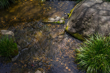 Moody background of a creek with pebbles and a green grassy bush. Arial view of a shallow flowing...