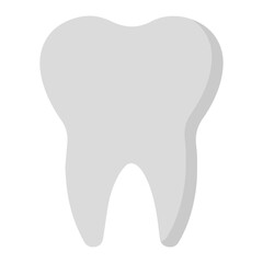 teeth
