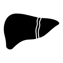 Liver