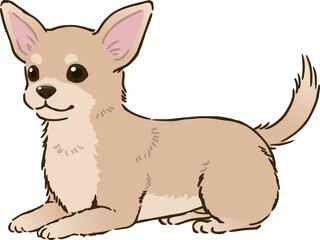 ふせるチワワ（クリーム）