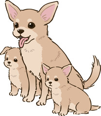 チワワの親子（スムースコート、クリーム）