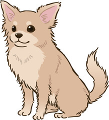 おすわりするチワワ（ロングコート、クリーム）