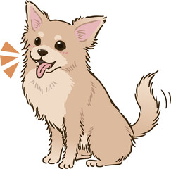 喜ぶチワワ（ロングコート、クリーム）