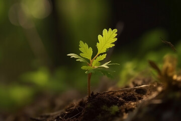 Ecology, Green energy, education