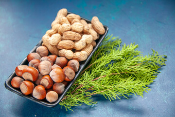 front view fresh nuts peanuts and hazelnuts inside plate on blue background walnut color snack cips nut photo plant tree