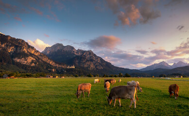 Füssen