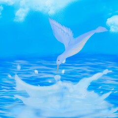 Obraz na płótnie Canvas splash water with bird in the sea, illustration