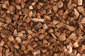 Overhead view of pieces of oak bark (Quercus)