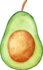 Watercolor fresh half opened avocado vegetable vibrant color hand drawing