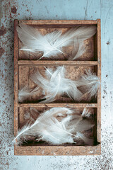 box with shelves and white feathers