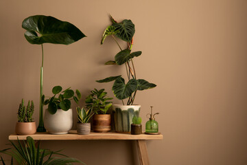 Aesthetic composition of warm living room interior with copy space, stylish wooden bench, plants in flowerpots, brown wall, glass flower sprinkler and personal accessories. Home decor. Template.