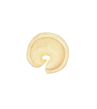 recommend clip art: Italian tortellini pasta Watercolor food illustration Png clipart Printable cut file, scrapbook, recipe, kitchen., menu, souvenir, greeting card, invitation, travel journey graphics