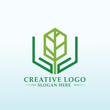logo for training center for bio dynamic agriculture