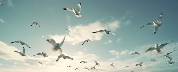 Fototapeta premium Birds flying in the blue sky and sunlight rays shining on a beautiful day - generative ai