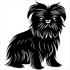 Affenpinscher dog silhouette