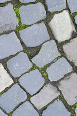 A stone pavement with green grass