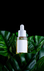 Natural Serum and face oil. Cosmetic hydrating serum in a glass bottle with pipette close up. Hyaluronic acid, vitamin c on black background with leaf monstera mock up..