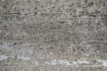 Texture of shell rock limestone for background. 