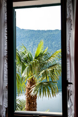Morcote, Ticino, Switzerland - May 21, 2022 a palm through the window beautiful Morcote