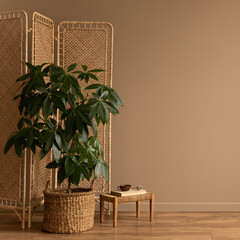 Interior design of living room interior with copy space, partition wall, plant in basket, braided...