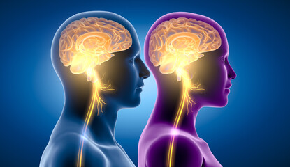 Active brain and energetic vagus nerve, communication, meditation, 3D illustration