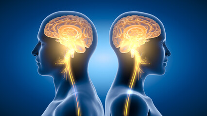 Active brain and energetic vagus nerve, communication, meditation, 3D illustration