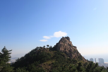 Mountain View, clouds, plane, and tree