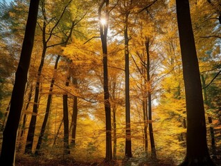 Stunning Fall Foliage: Towering Trees in a Picturesque Forest Setting | Generative AI