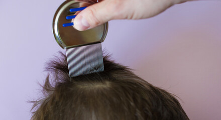 Lice comb and brunette hair copyspace - obrazy, fototapety, plakaty
