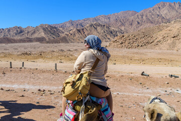 Young woman riding camel at the shore of Red sea in Dahab, Egypt