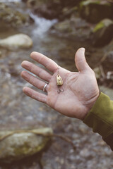 Mano di pescatore sul torrente, che mostra l'esca artificiale rotante in ferro