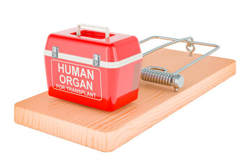 Portable fridge for transporting donor organs inside mousetrap. 3D rendering