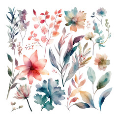 Set of watercolor flowers leaves and twigs on a white background