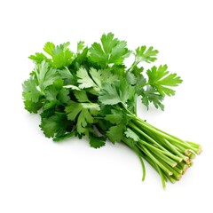 Bunch of fresh raw parsley ingredient for cooking with white background Generative AI Illustration