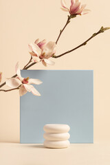 Flowers composition. A magnolia branch on a beige background and a blue frame. Beauty, cosmetic concept mock up. Exhibition Podium, stand, showcase on pastel light background for premium product 