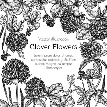 Vector frame of flowers and clover leaves in engraving style