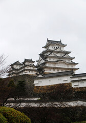 Fototapeta premium 姫路城