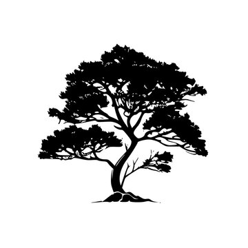 Tree | Black and White Vector illustration